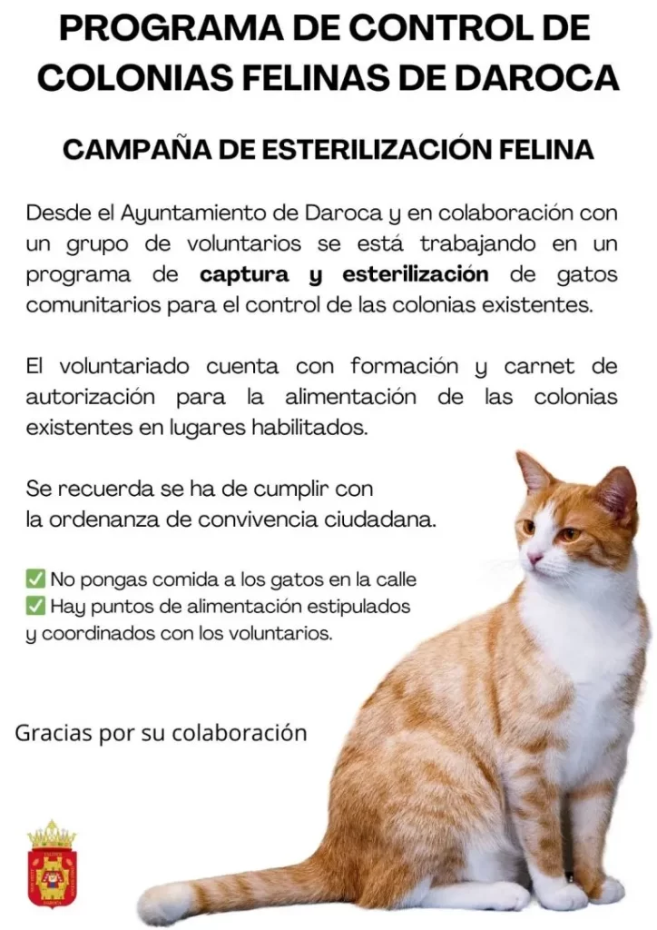 colonias gatos