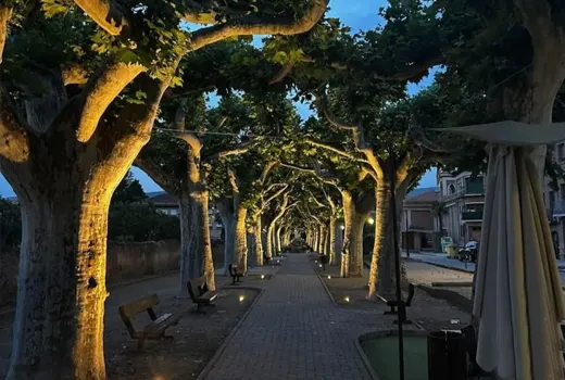 inauguracion-luminica