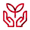 PSTD