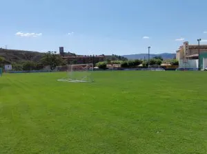 Campo de fútbol de césped natural