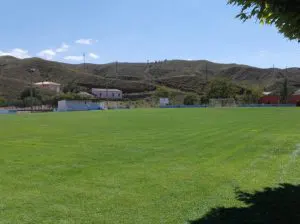 Campo de fútbol de césped natural