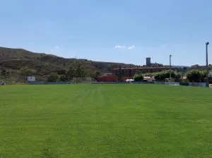Campo de fútbol de césped natural